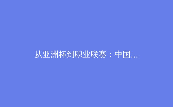 从亚洲杯到职业联赛：中国体育产业数字化浪潮下的机遇与挑战 - 4